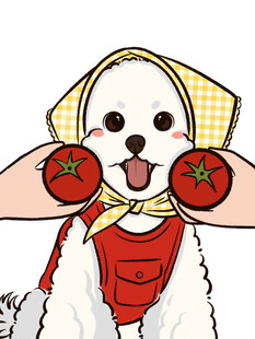 穿围裙拿番茄的可爱小狗