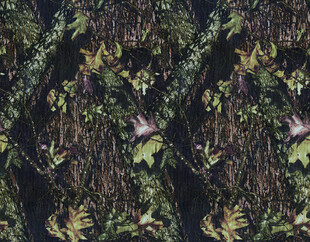 森林中繁茂植物图案纹理