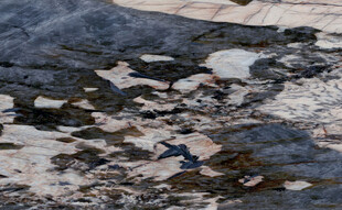 新款 简奢清晰石纹 高雅大图 