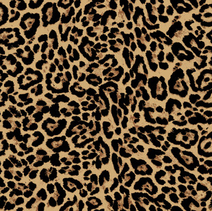 豹纹图案纹理