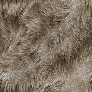 高清质感动物毛发纹理