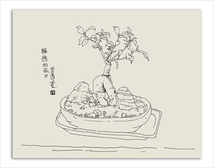 小盆景速写魏会超原创