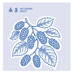 手绘桑葚枝叶图案