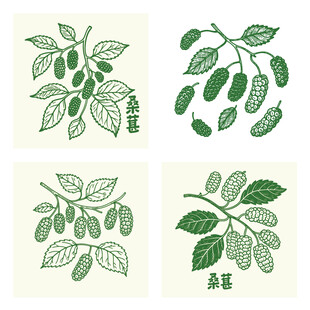 手绘桑葚图案背景设计