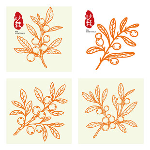 手绘沙棘果包装手绘插画