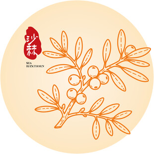 沙棘枝叶图案设计