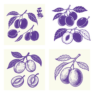 手绘复古风李子西梅插画图案