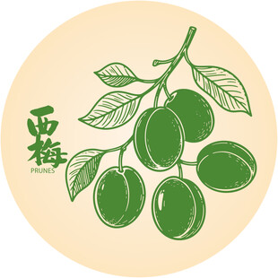 手绘李子西梅插画矢量图