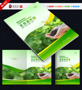 绿色封面