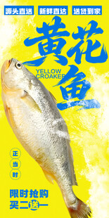 黄花鱼