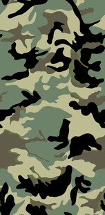 迷彩图案 飞鸟元素背景