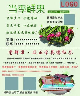 当季鲜果宣传页展示