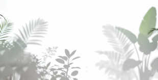 雾气磨砂膜效果绿植贴图