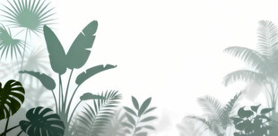 雾气磨砂膜效果绿植贴图