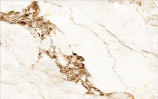 鱼肚金大理石纹理图案