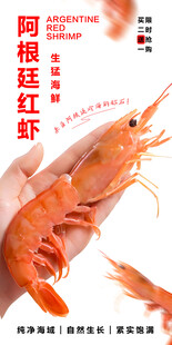 阿根廷红虾