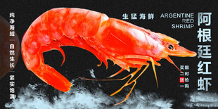 阿根廷红虾