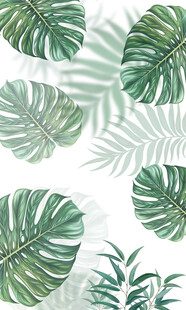 热带雨林绿植雾气模屏风隔断背景