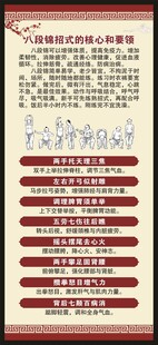 中医养生知识展架