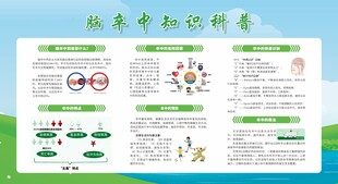 预防脑卒中宣传栏