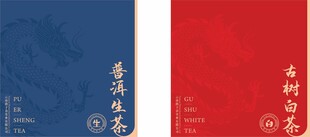 中式红蓝双色传统封面设计