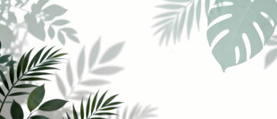 雾气磨砂膜效果绿植贴图