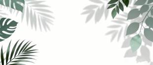 雾气磨砂膜效果绿植贴图