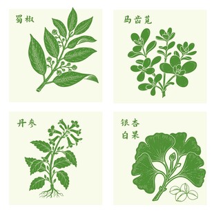 丹参银杏马齿苋蜀椒中药材