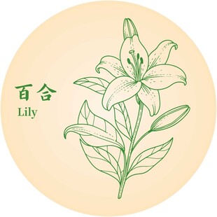 手绘百合花图案设计