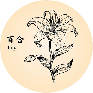 手绘百合花图案