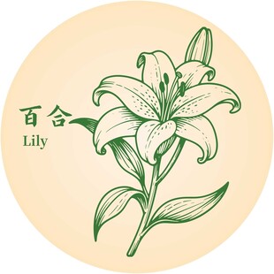 手绘百合花图案