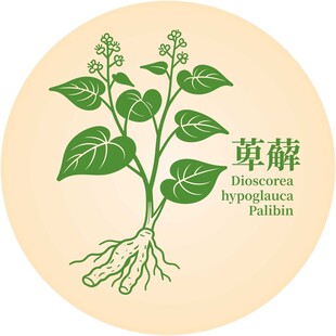萆薢植物图示