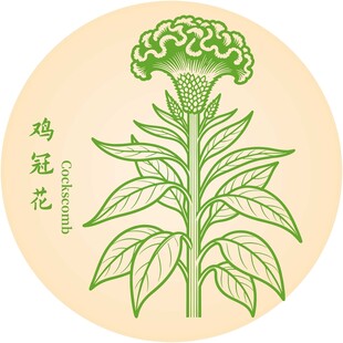 手绘鸡冠花图案