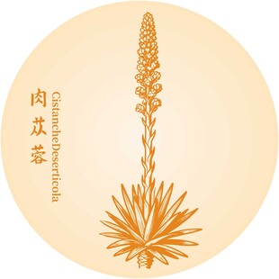 肉苁蓉图案设计元素