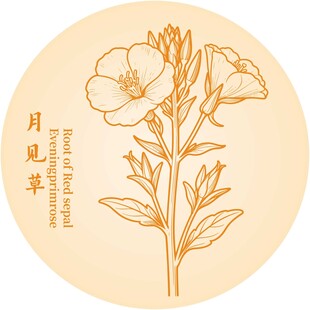 手绘月见草图案设计元素