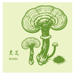 手绘灵芝图案设计