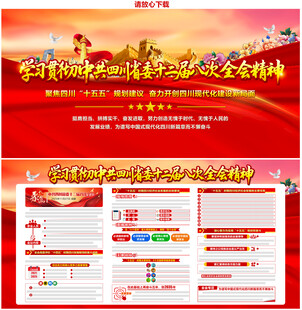 四川省委十二届八次全会