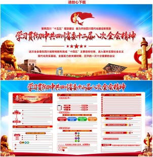 四川省十二届八次全会