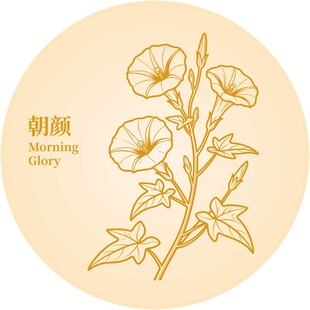 手绘朝颜花图案