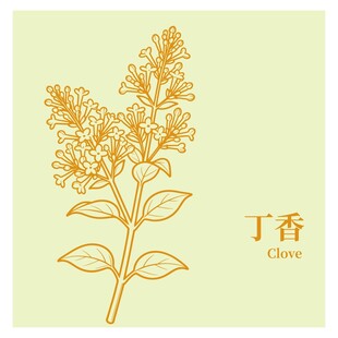 手绘丁香花图案