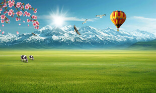 蓝天白云大草原