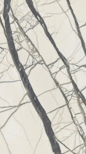 干裂土地纹理特写