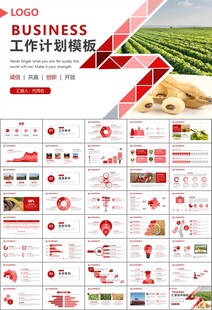 大豆种植产业工作总结年终汇报