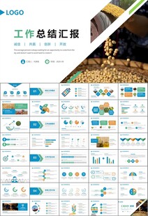 大豆种植产业工作总结年终汇报