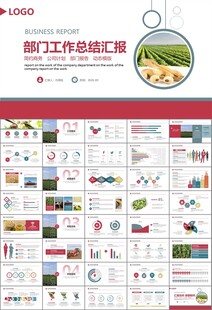 大豆种植产业工作总结年终汇报