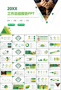 大豆种植产业工作总结年终汇报