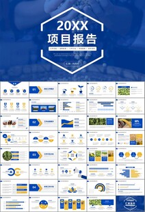 大豆种植产业工作总结年终汇报