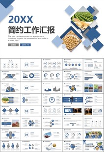 大豆种植产业工作总结年终汇报