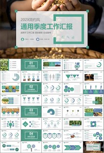 大豆种植产业工作总结年终汇报