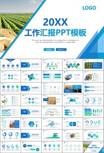 大豆种植产业工作总结年终汇报